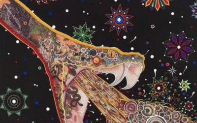 Tread carefully the world of shamanic plant medicines
